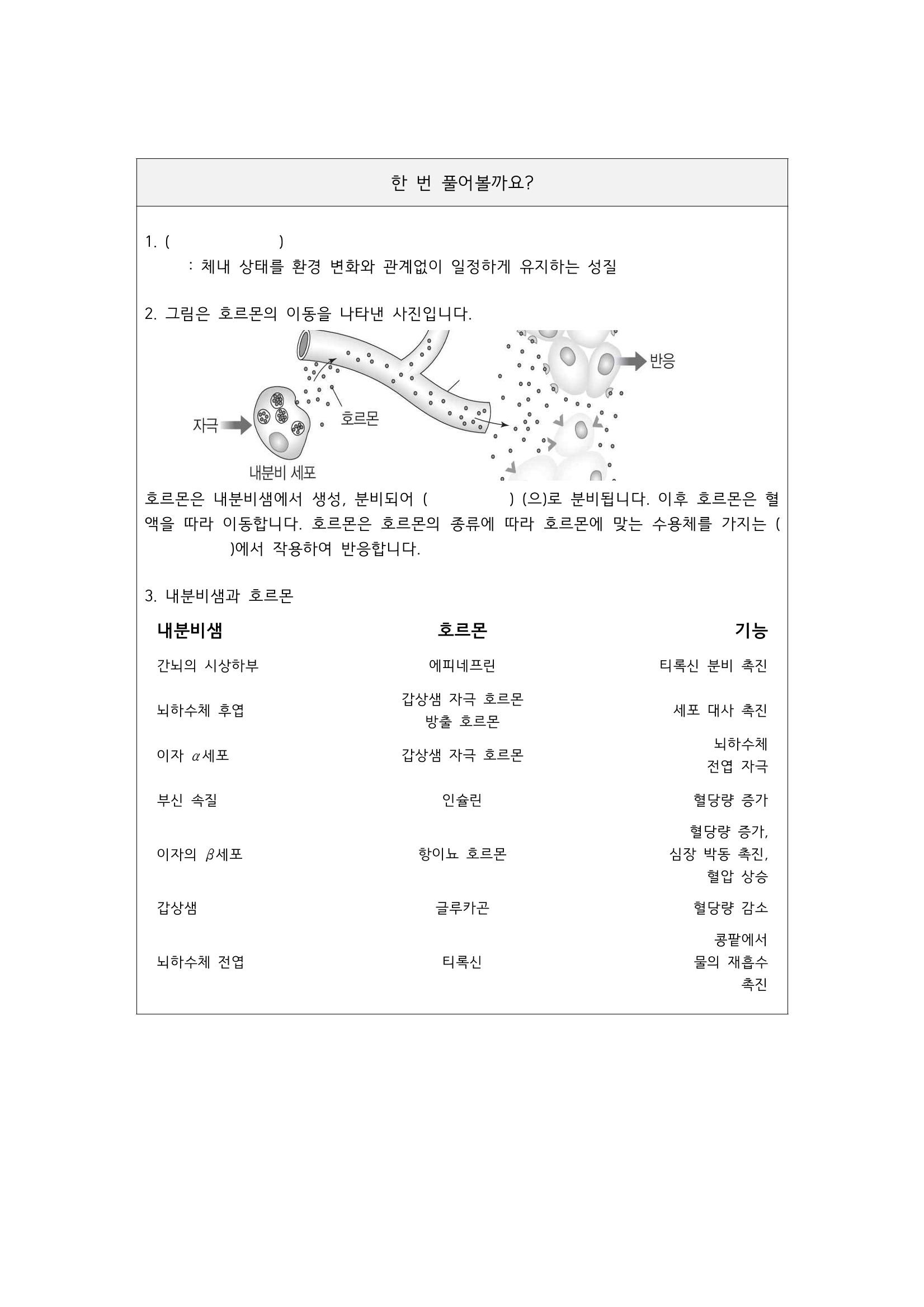 내분비샘과 호르몬 / jcy8940